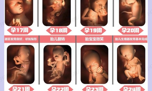 乙肝患者可以吃茄子吗-3月婴儿淋巴细胞比率80网—知名的乙肝患者可以吃茄子吗网站,分享乙肝患者可以吃茄子吗知识